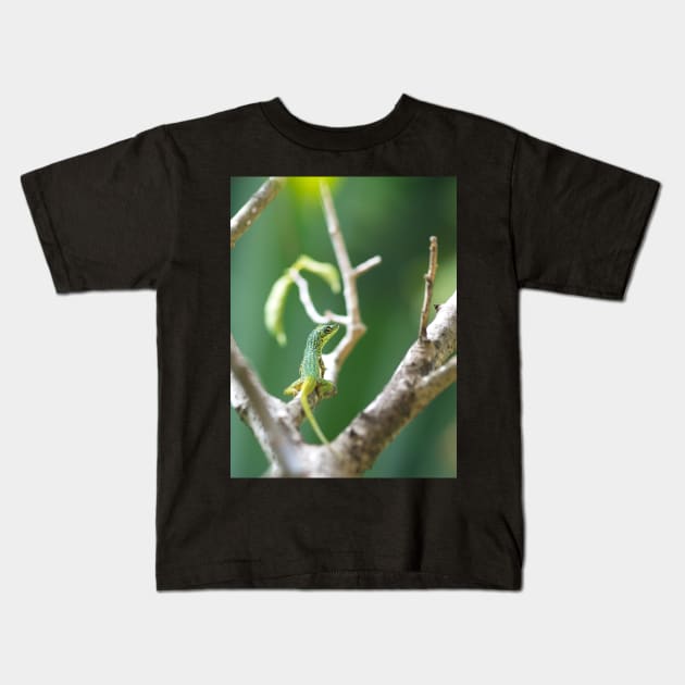 Caribbean Lizard Kids T-Shirt by cinema4design